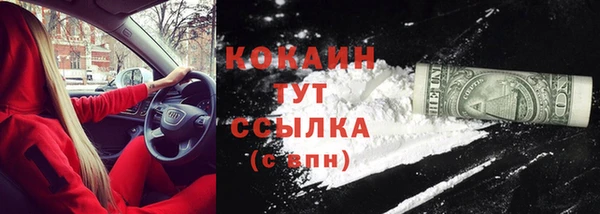 соль ск Мегион